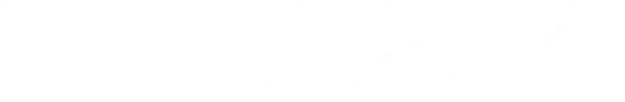 Light Logo